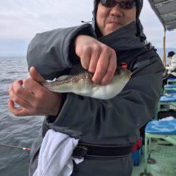 ヤザワ渡船 釣果