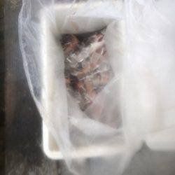 釣り堀水宝 釣果