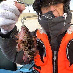 ヤザワ渡船 釣果