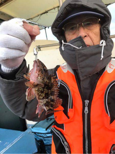 ヤザワ渡船 釣果