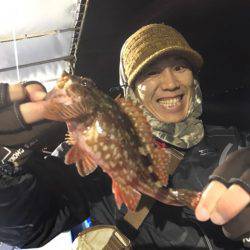 ヤザワ渡船 釣果