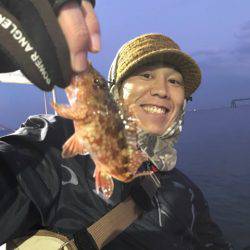 ヤザワ渡船 釣果