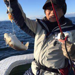 ヤザワ渡船 釣果