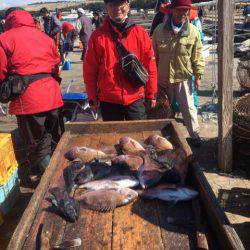 釣り堀水宝 釣果