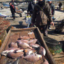 釣り堀水宝 釣果