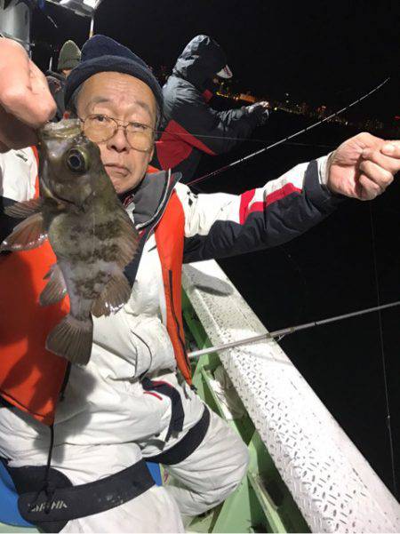ヤザワ渡船 釣果