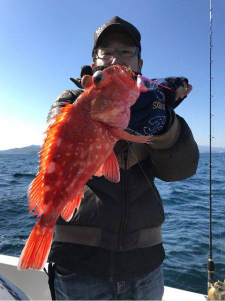 龍神丸（鹿児島） 釣果
