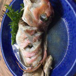 龍神丸（鹿児島） 釣果