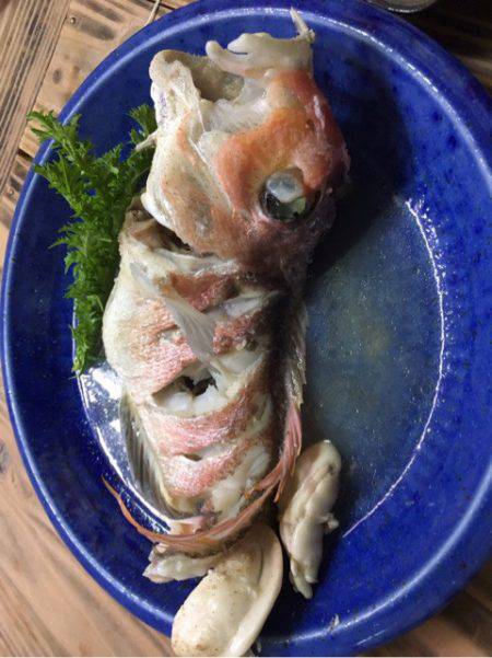 龍神丸（鹿児島） 釣果