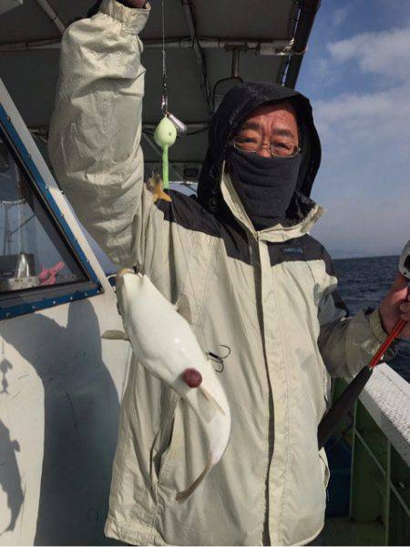 ヤザワ渡船 釣果