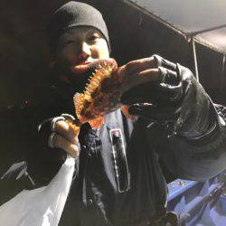 ヤザワ渡船 釣果