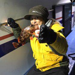 ヤザワ渡船 釣果