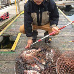 釣り堀水宝 釣果