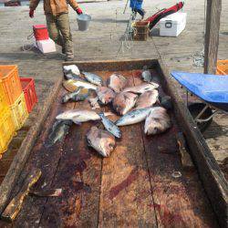 釣り堀水宝 釣果