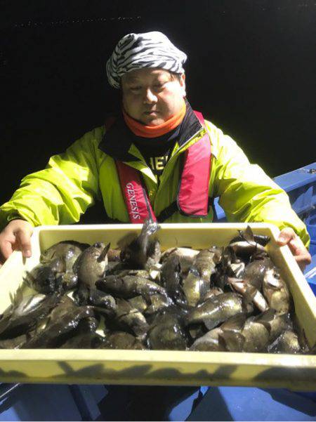 ヤザワ渡船 釣果