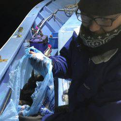 ヤザワ渡船 釣果