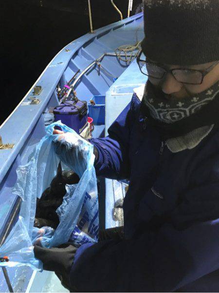 ヤザワ渡船 釣果