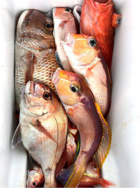 龍神丸（鹿児島） 釣果