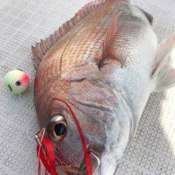 龍神丸（鹿児島） 釣果