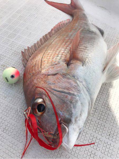 龍神丸（鹿児島） 釣果