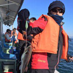 ヤザワ渡船 釣果