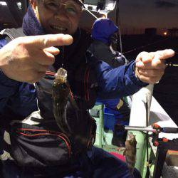 ヤザワ渡船 釣果