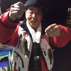 ヤザワ渡船 釣果