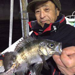 ヤザワ渡船 釣果