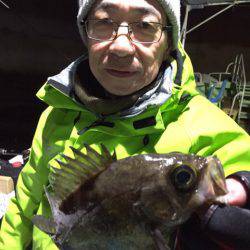 ヤザワ渡船 釣果