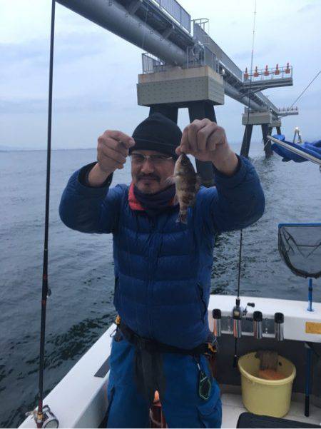 Ｖ−７ West 釣果