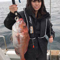 釣鯛洋 釣果