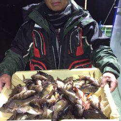 ヤザワ渡船 釣果