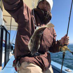 ヤザワ渡船 釣果