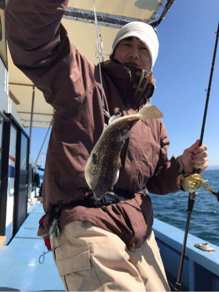 ヤザワ渡船 釣果