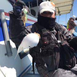 ヤザワ渡船 釣果