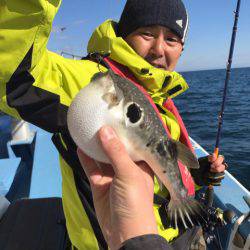 ヤザワ渡船 釣果