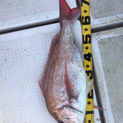 龍神丸(鹿児島) 釣果