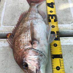 龍神丸(鹿児島) 釣果