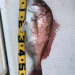 龍神丸(鹿児島) 釣果