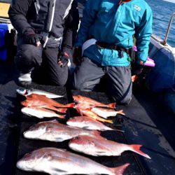 渡船屋たにぐち 釣果