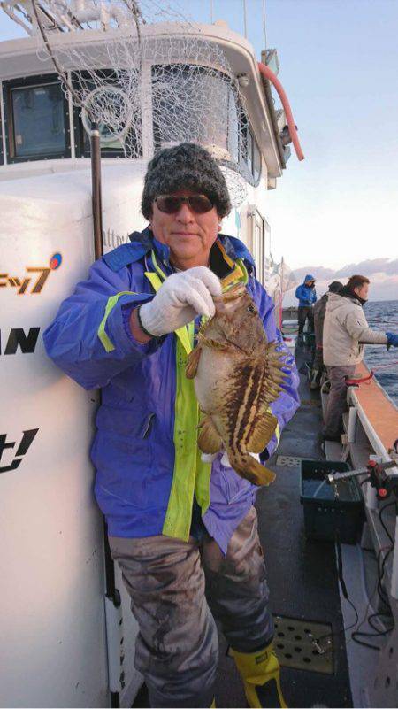 シーランチ 釣果