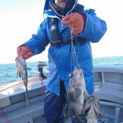 シーランチ 釣果