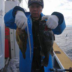 シーランチ 釣果