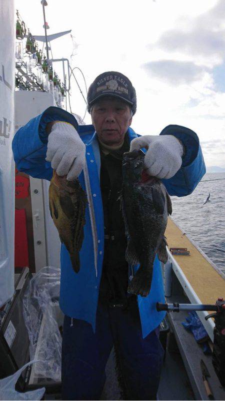 シーランチ 釣果