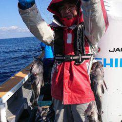 シーランチ 釣果