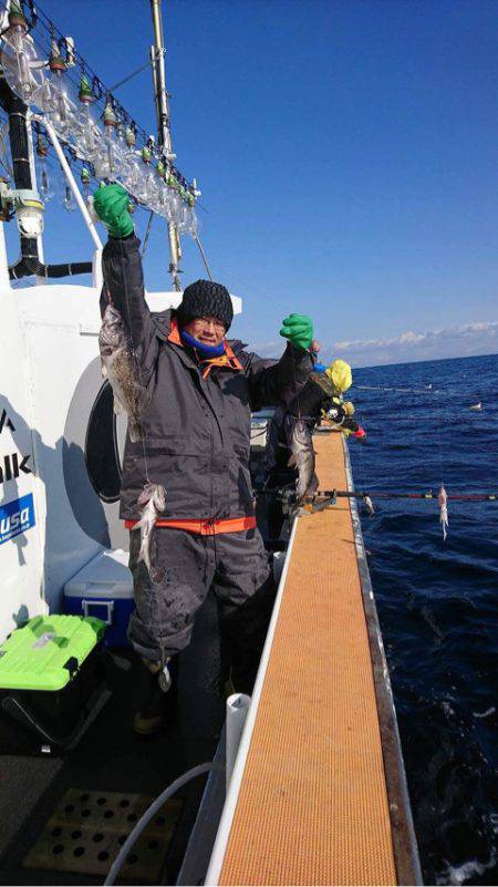 シーランチ 釣果
