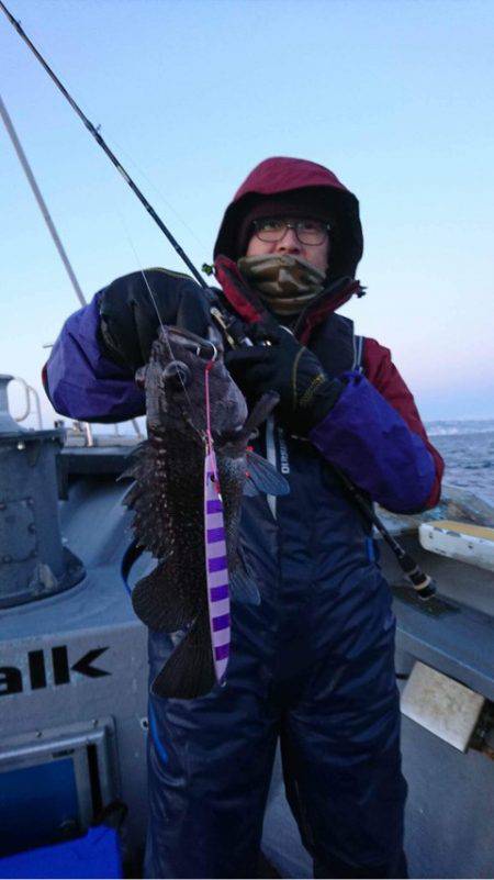 シーランチ 釣果