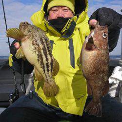 シーランチ 釣果