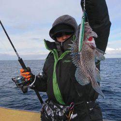 シーランチ 釣果