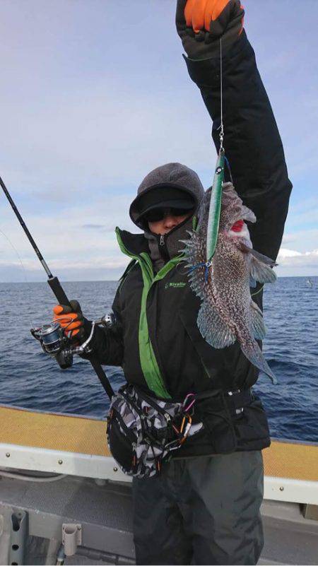 シーランチ 釣果